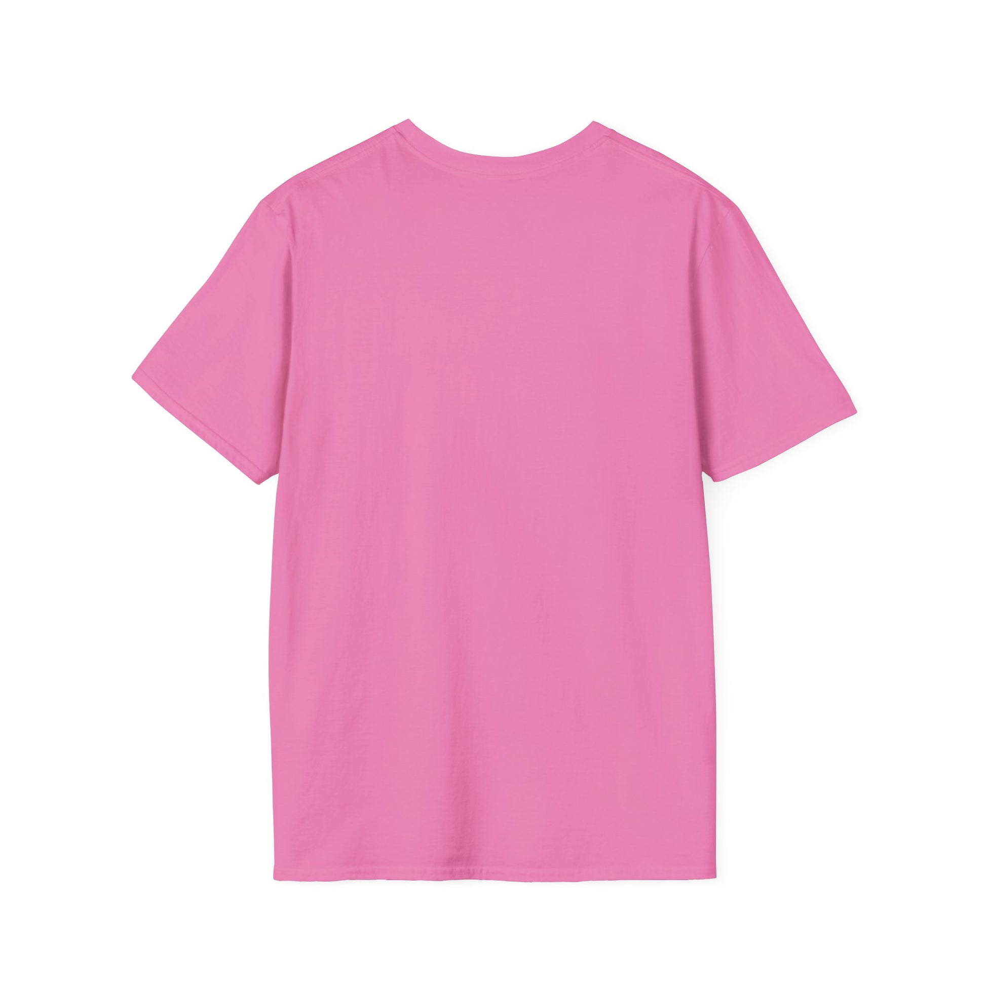Oasis Live '25 Unisex Softstyle T-Shirt, Concert Shirt, Music Apparel, Vintage Band Tee, Gift for Fans, Rock & Roll Merchandise
