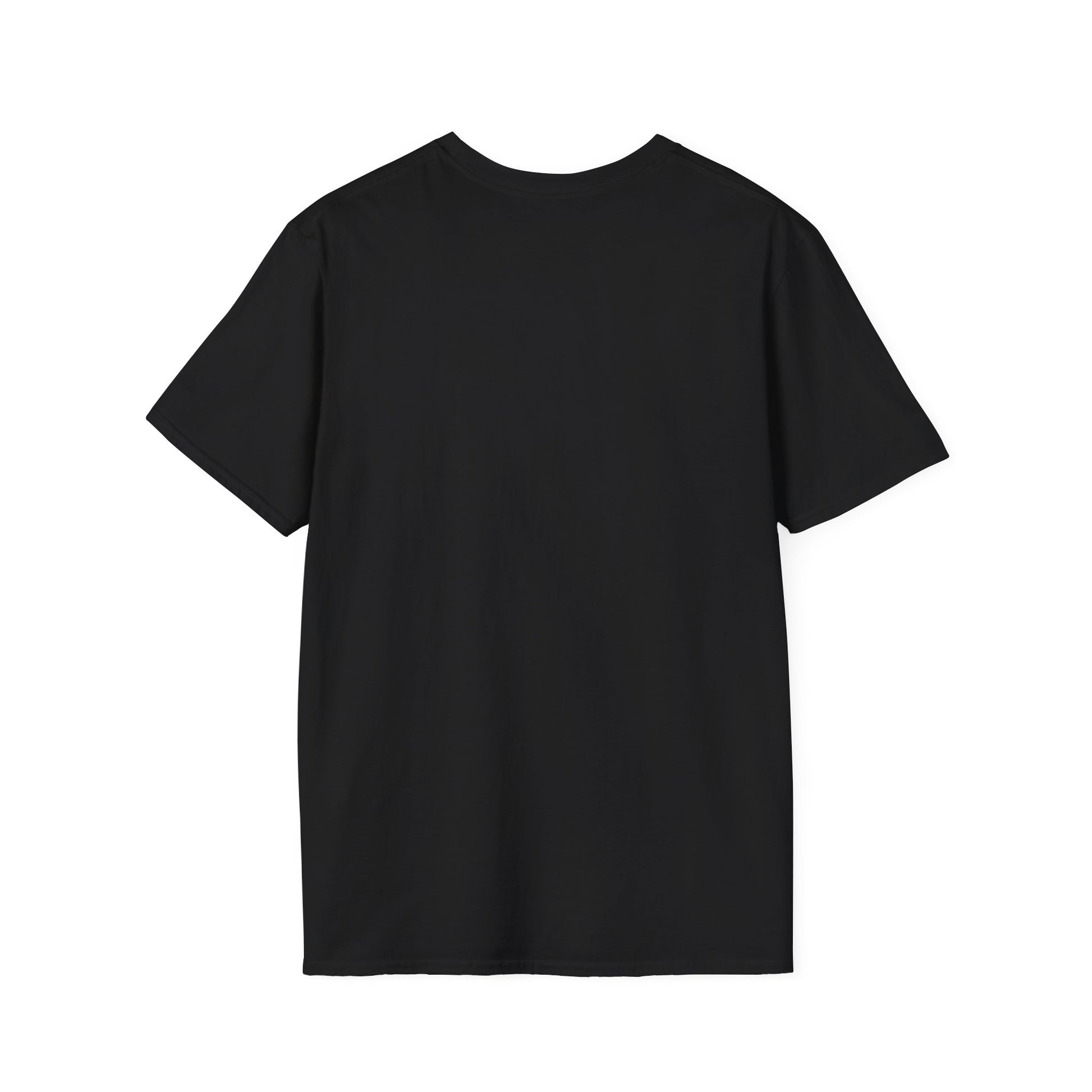 Oasis Inspired Vintage Unisex Softstyle T-Shirt, Casual Tee, Music Merchandise, Gift for Fans, Retro Apparel, Band T-Shirt
